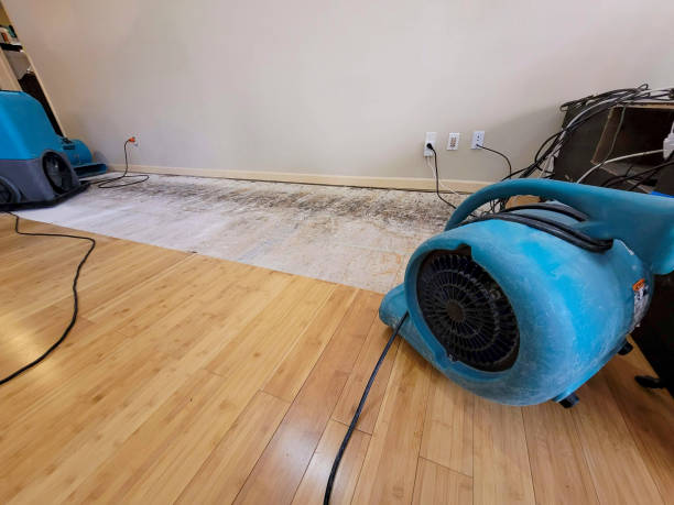 Reliable Basement Flood Cleanup contractor in Danbury, CT by Hirex Water Damage