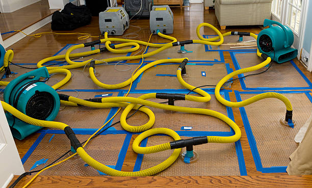 Professional Basement Flood Cleanup technician working in Danbury, CT